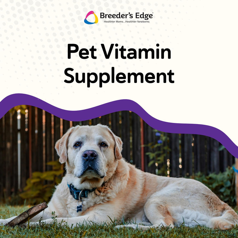 Breeder's Edge B Strong Liquid, Vitamin B for Dogs and Cats, Supports Canine and Feline Reproductive Health, Promotes Healthy Heat Cycles, Provides Energy, and Stimulates Appetite, 8 oz 8 oz - Liquid