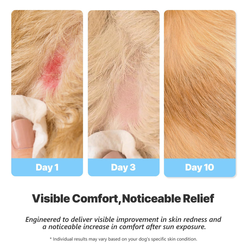 Dog After-Sun Soothing Serum – Hydrating & Calming Skin Repair for Sensitive, Sun-Exposed Areas (1.69 fl oz) | Vet-Inspired Gentle Formula – Alcohol & Fragrance Free