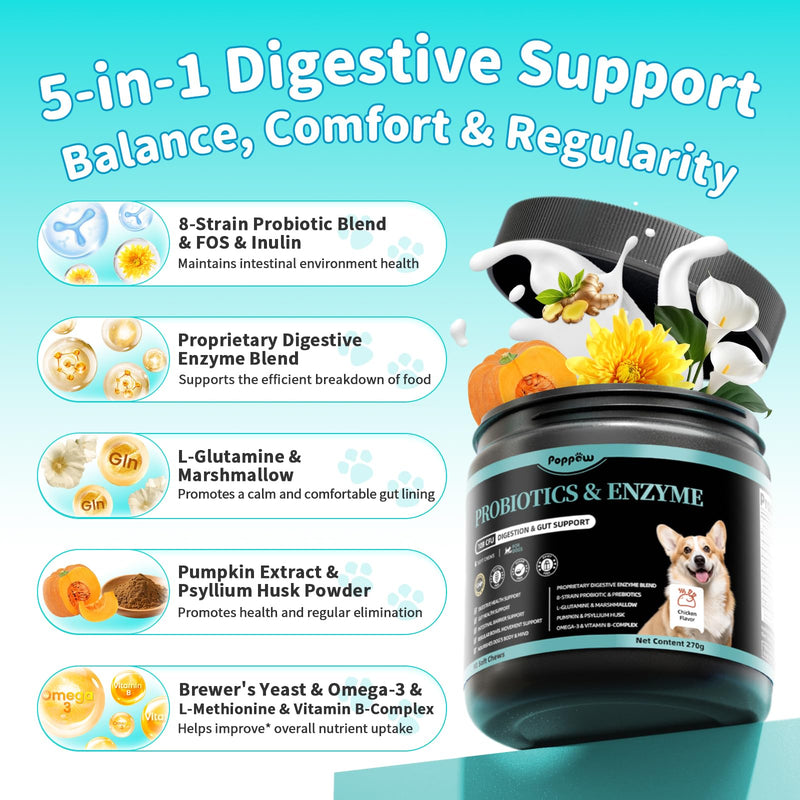 Probiotics for Dogs, Digestive Enzymes & Pumpkin Fiber for Gut Health and Bowel Support, Dog Supplement for Gas Relief & Constipation, 10B CFU with 5 Prebiotics & 5 Enzymes, 90 Count Chicken Flavor 90 Count (Pack of 1)