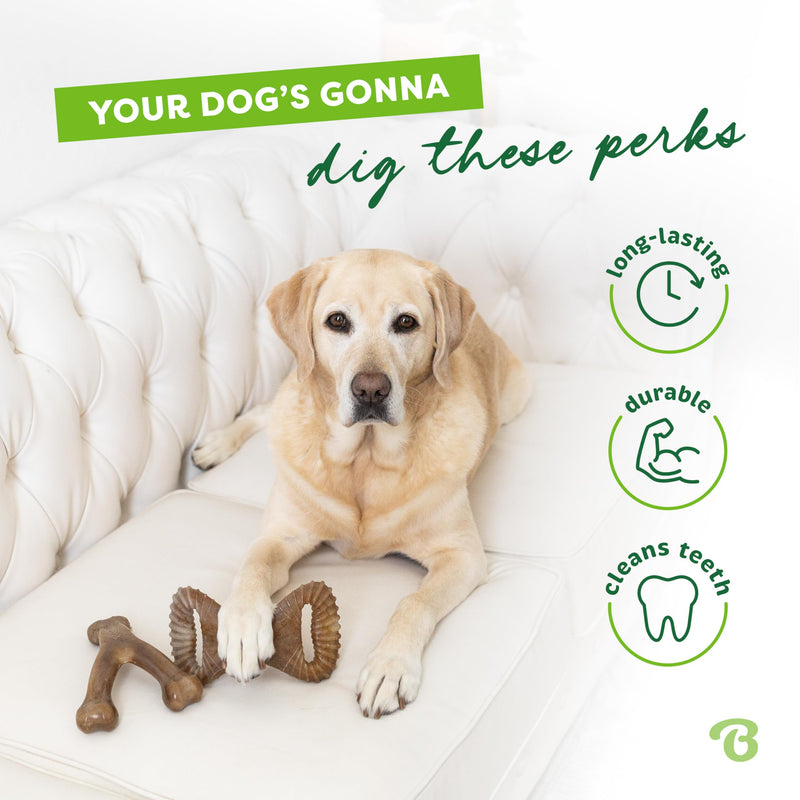 Benebone 2-pack Wishbone/Dental Durable Dog Chew Toys, Dog Toys for Aggressive Chewers, Real Bacon, Made in USA, Medium - BeesActive Australia