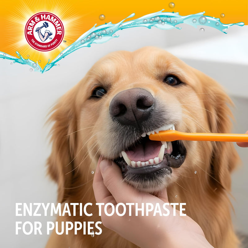 Arm & Hammer Complete Care Puppy Dental Kit, Enzymatic Toothpaste with Baking Soda and Calcium for Dogs, Peanut Butter Flavor, Toothbrush and Microfiber Brush Included, Fluoride-Free, 2.5 Oz - 2 Pack