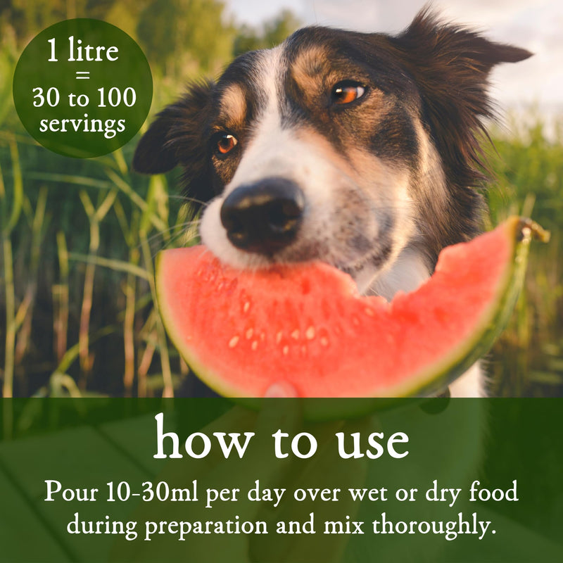 MICROBZ DOG NUTRITION | 1 Litre | Liquid Beneficial Microbes for Dogs Gut Health, Digestive Care & Coat Health – Gluten & Dairy Free, 100% Natural - Up to 100 Servings