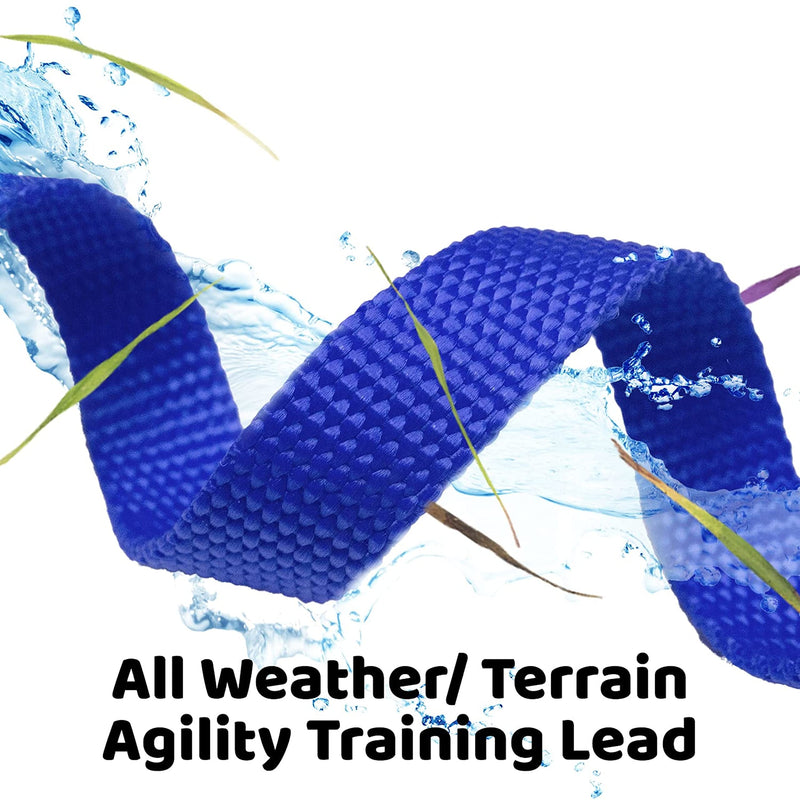 Downtown Pet Supply - Long Dog Leash - Dog Training Leash - Recall & Obedience Dog Training Tools - Nylon - 100 ft - Blue Dog Leash 100 Foot - BeesActive Australia