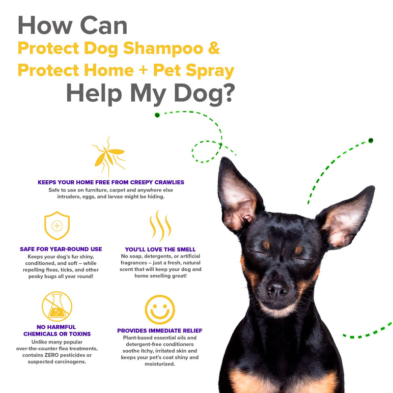 Protect Home + Dog Spray; Eliminate Scratching, Itching, and Hot Spots and Keep Your Home Safe and Smelling Great; Plant-Based All-Natural Formula - Made in USA