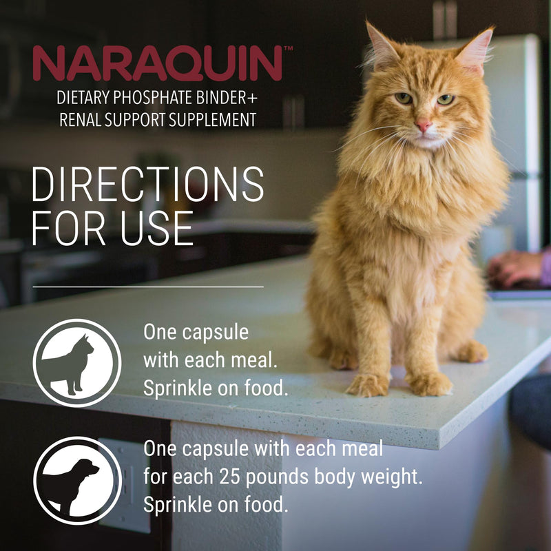 Nutramax Laboratories NARAQUIN™ Dietary Phosphate Binder + Renal Support Supplement for Cats & Dogs,60 Count (Pack of 2) 60 Count (Pack of 2)