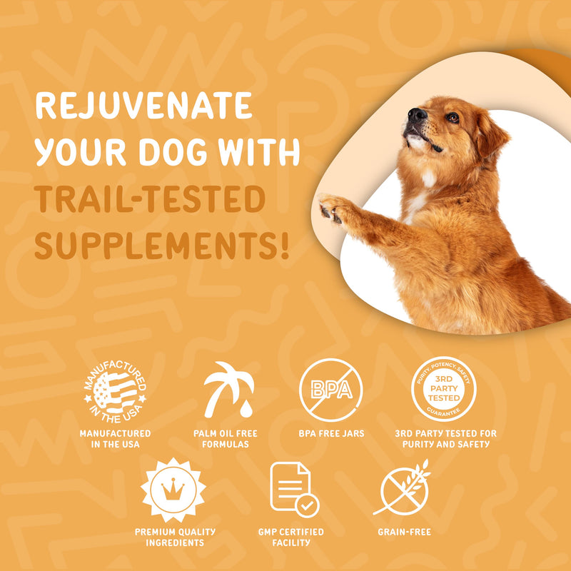 waggedy Omega Max Chews for Dogs with Salmon Oil & Flaxseed — Dog Essentials for Shiny Coats & Healthy Skin — Dog Supplements & Vitamins (60 Chews) Skin and Coat Supplement 60 Count