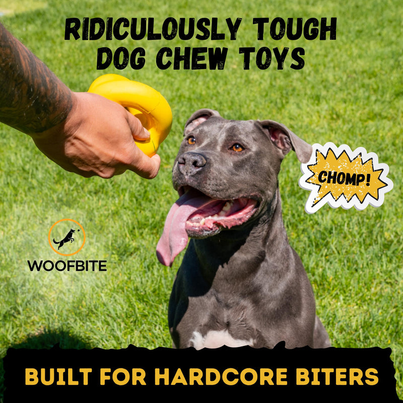 Indestructible Ring Ball - Lifetime Replacement - for Aggressive Chewers, Medium Large Breed - Non-Toxic Natural Rubber Dog Toys - Butter Scent, Yellow (Highly Visible Color for Dogs) - 4.5” - BeesActive Australia