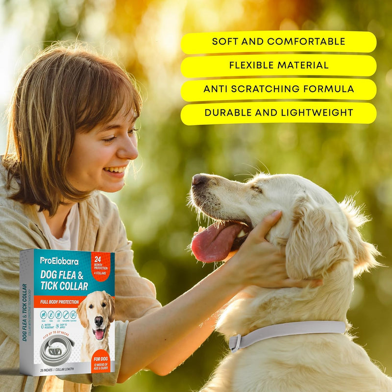 Dog Flea Tick Prevention Collar: Effective Flea Collar and Prevention for Dogs - Safe Dog Ticks Fleas Collars - Reliable Tick Flea Collars for Dogs - 24 Month Protection 4-Pack… 4 Pack - BeesActive Australia