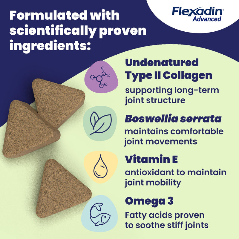 Flexadin Advanced Joint Care Supplement for Dogs containing Undenatured Type II Collagen, Boswellia serrata, Omega 3 & Vitamin E/Promotes joint health, mobility & flexibility | 60 chews