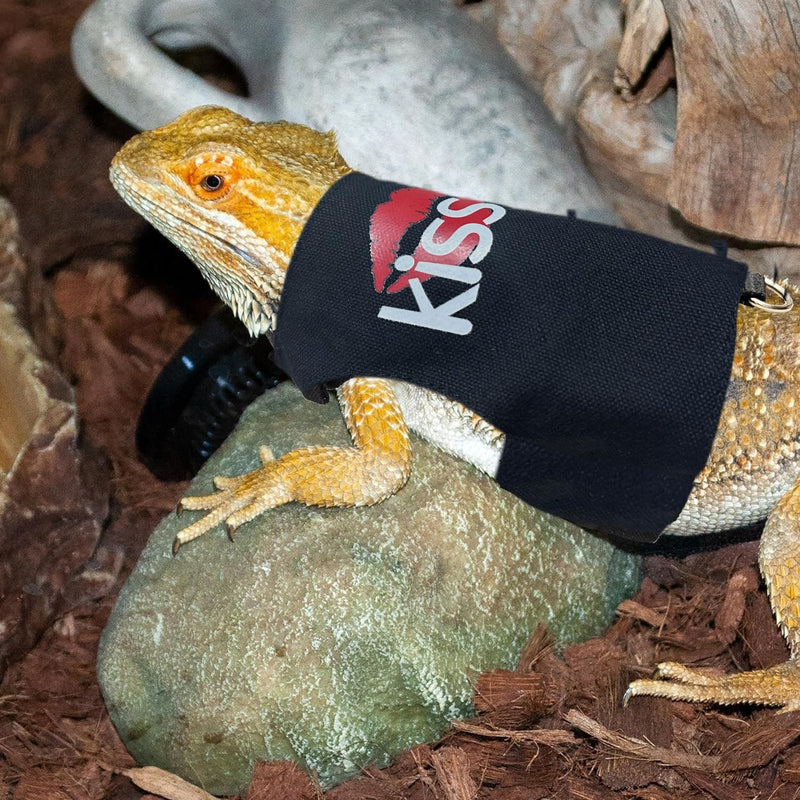 Bearded Dragon Leash and Harness Adjustable - Unique Pattern Lizard Cloth Escape Proof Harness with Leash for Walking Outdoor (Black) black - BeesActive Australia