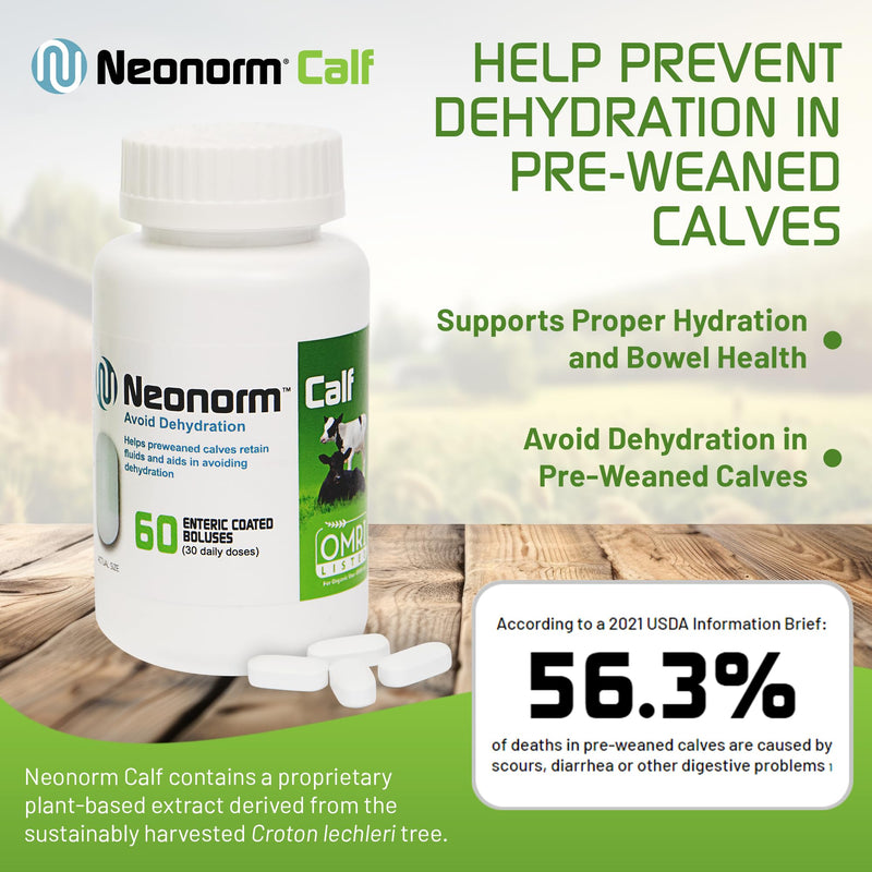 Jaguar Animal Health Neonorm Calf - Enteric Coated Supplement Boluses for Proper Hydration & Bowel Health - Plant-Based Product for Pre-Weaned Calves (60 Count) 60 Count - BeesActive Australia