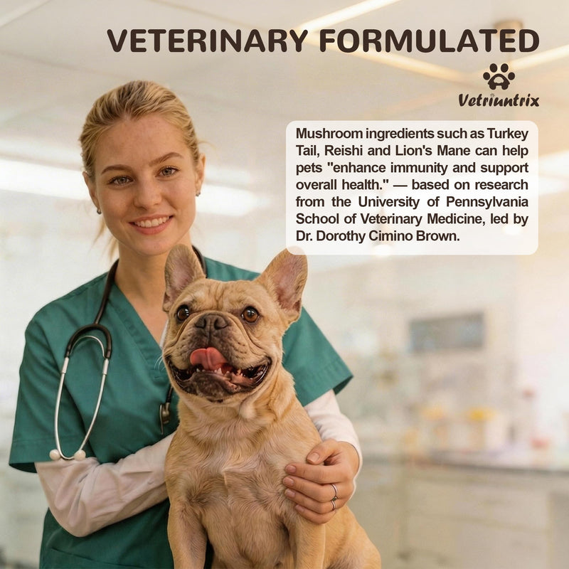 Organic Turkey Tail Mushroom for Large Dogs - Over 50% Beta Glucan - 10-in-1 Mushroom Powder for Immune & Gut Support - Dog Mushroom Supplements for Lumps and Bumps - Chicken Flavor, 200g 200 g