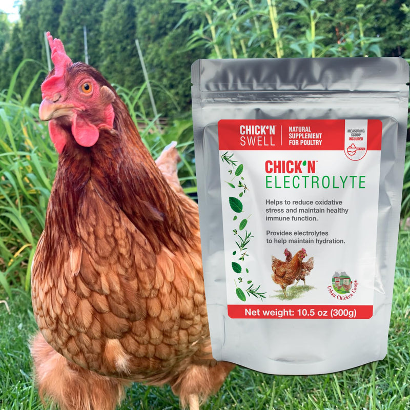 Chicken Electrolytes for Heat Stress & Dehydration – Poultry Electrolyte & Vitamin Supplement for Laying Hens and Chicks – Supports Hydration & Recovery – 10.5 oz, from Chick’N Swell.