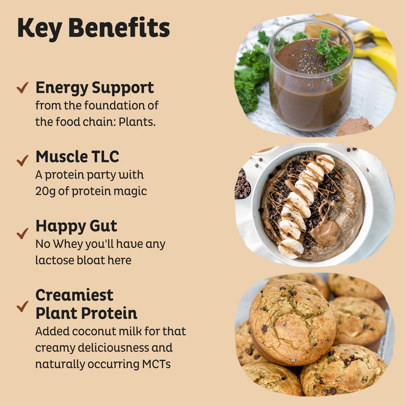 KOS Vegan Protein Powder, Chocolate Peanut Butter - Low Carb Pea Protein Blend, USDA Organic Superfood with Vitamins & Minerals - Keto, Soy, Dairy Free - Meal Replacement for Women & Men - 10 Servings 13.05 Ounce (Pack of 1)