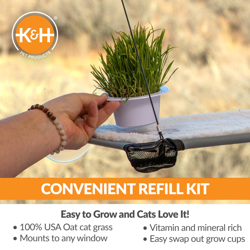 K&H Pet Products Cat Grass Grow Station Growing Cup Refills for K&H EZ Mount Products - Healthy Home Grown Grass Cat Toys for Bored Indoor Adult Cats, Farmed in USA, Non-GMO - Refill ONLY - 2 Pack - BeesActive Australia
