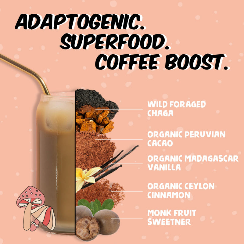 Renude Chagaccino - Chaga Mushroom Powder, Mushroom Coffee Drink Mix with Adaptogens, Natural Energy and Immune Support, Vegan, Keto, Zero Calorie Mushroom Blend Powder - 30 Servings Chagaccino: 30 serving bag