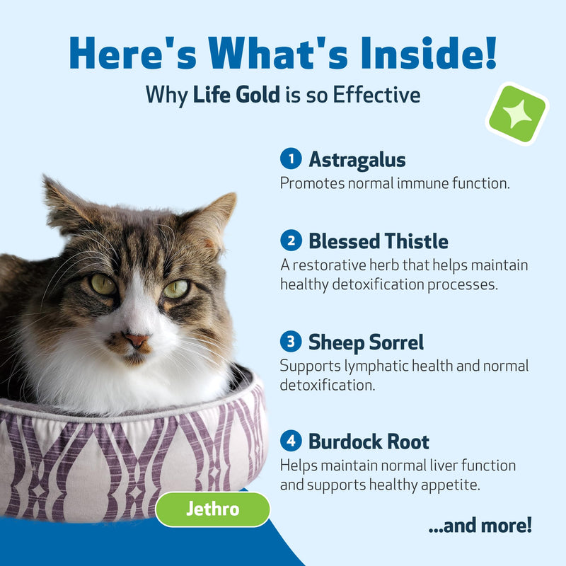 Pet Wellbeing Life Gold for Cats - Immune Support, Antioxidants, Detoxification, Cellular Health, Astragalus, Blessed Thistle, Sheep Sorrel - Veterinarian-Formulated Herbal Supplement 2 oz (59 ml) 2oz - BeesActive Australia