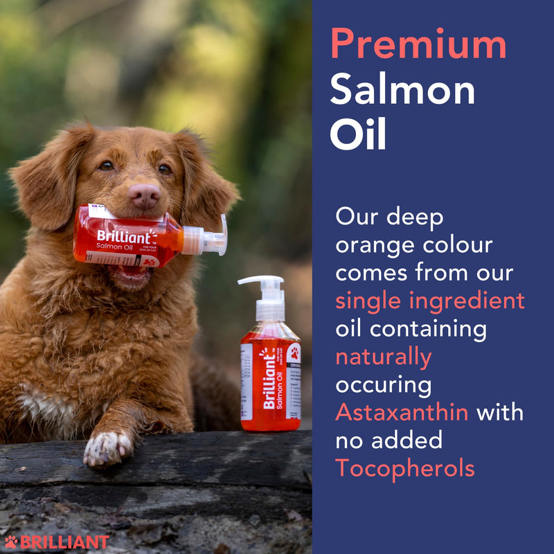 Brilliant Norwegian Salmon Oil for Dogs, Cats, Horse, Ferret - Pure Omega 3, 6 & 9 Fish Oil Food Treats Supplement for Natural Coat, Immune Support, Itchy Skin, Joint & Brain Health - 2x300ml 300 ml (Pack of 2)