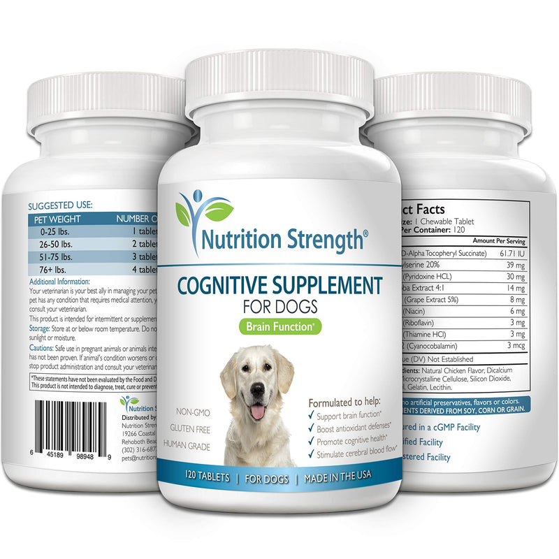 Cognitive Support for Dogs, Promotes Dog Brain Health, Mental Support for Old Dogs, Supplement for Dogs with Cognitive Difficulties, 120 Chewable Tablets - PawsPlanet Australia