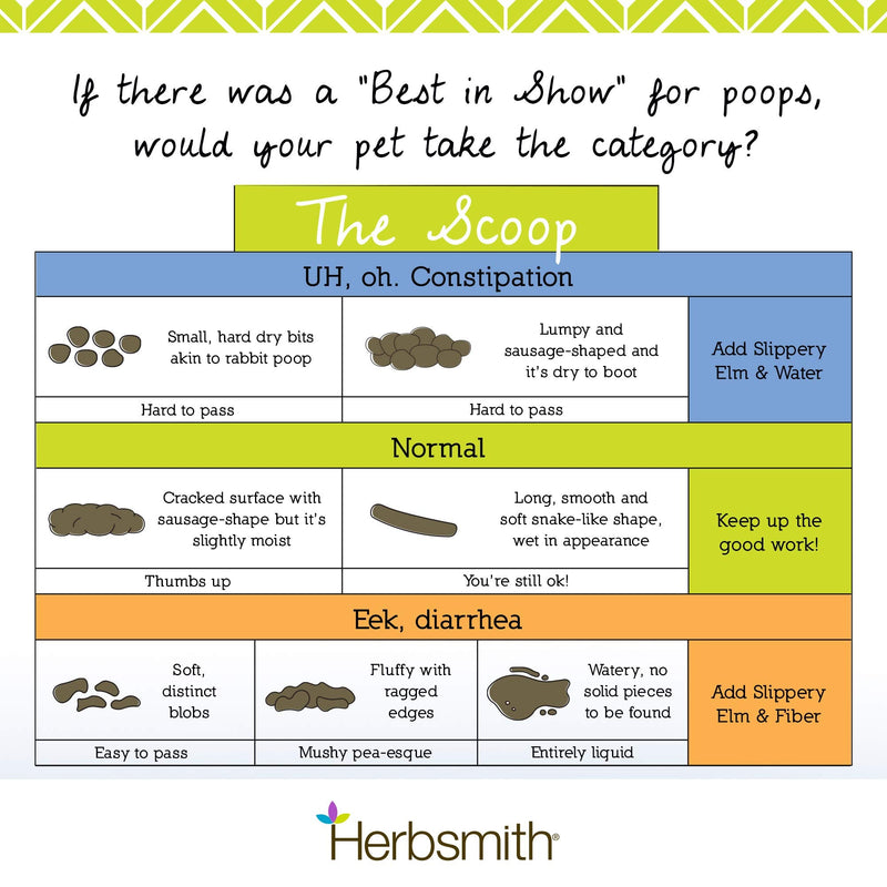 Herbsmith Organic Slippery Elm - Digestive Aid for Dogs and Cats - Constipation and Diarrhea Relief for Dogs and Cats - Megaesophagus Dog Aid- 75g 75g Powder - BeesActive Australia