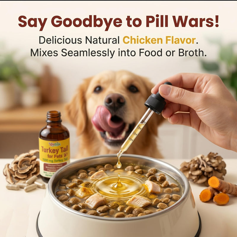 Turkey Tail Mushroom Supplement for Dogs - Liquid Immune Support Drops for Lumps & Bumps - 7-in-1 Blend with Turmeric & Probiotics, Chicken Flavor (90 ML)
