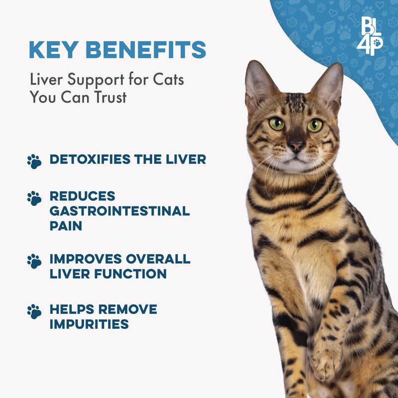 Hepatic Liver Support for Cats Dissolvable,Homeopathic, Digestive Feline Supplement for Liver Detox and Nutrient Absorption 100% All Natural, Easy to Give, Free of Chemicals or Additives, 400 Pills - BeesActive Australia