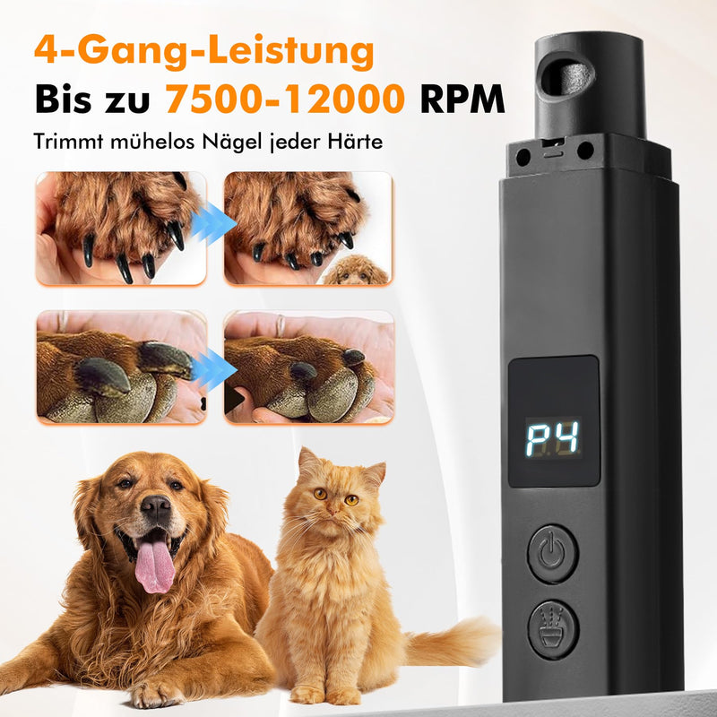 ETENTOUS Claw Grinder for Dogs 4 Speed with LED Lights - Latest Professional Claw Grinder with 3 Connections (with Claw Clippers), Super Quiet, Dog Nail Grinder for Large, Medium, Small Dogs 1#: Black - BeesActive Australia