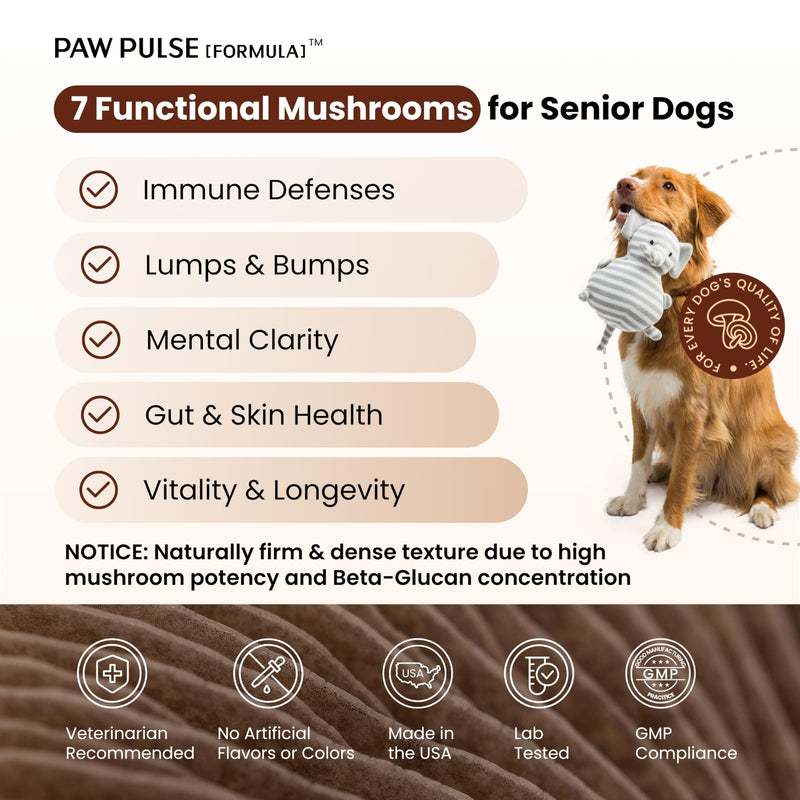 Pawpulse Formula Mushroom Chews for Dogs with Turkey Tail, Lion's Mane & Reishi – Senior Dog Supplement for Lipoma, Lumps & Bumps – Immune Support & Gut Health – 80 Count