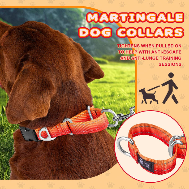 Arblina Martingale Dog Collar, Reflective Pull Stop Collar Dogs for Large Medium and Small Dogs, Nylon Pull Collar with Stop for Dogs Whippets, Greyhounds, Saluki, Orange, S - BeesActive Australia