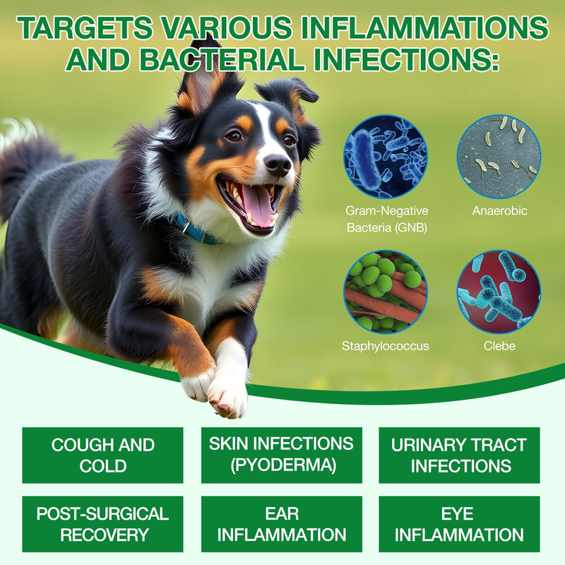 Dog Antibiotics, Antibiotics for Dogs, Dog Allergy & Itch Relief, Yeast Infection Treatment for Dogs, Dog Antibiotics for Infection, Bacon Flavor 60ml - BeesActive Australia