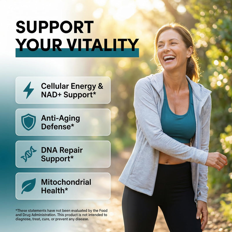 Youth Bloom NAD+ Supplement Gummies Resveratrol Fisetin Wheat Germ Berberine Taurine Turmeric Collagen Astaxanthin Nicotinamide Gotu Kola Pomegranate Vitamin C & E 60 Ct by Clean Nutra