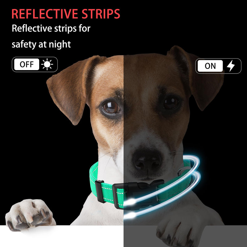 Reflective Dog Collar with Safety Locking Buckle, Adjustable Soft Breathable Nylon Collars for Small, Medium and Large Dogs(Collar+Leash XS Width 5/8" Turquoise) X-Small (Width 5/8") - BeesActive Australia