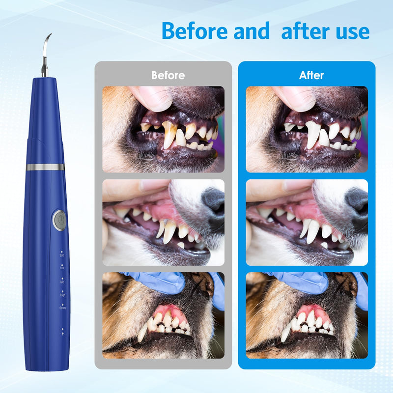 AMIR Ultrasonic Pet Plaque Remover, Electric Teeth Cleaning Kit for Dogs & Cats with 5 Modes, LED Light, IPX6 Waterproof, USB Rechargeable Toothbrush Cleaner for Dogs Cats (Blue)
