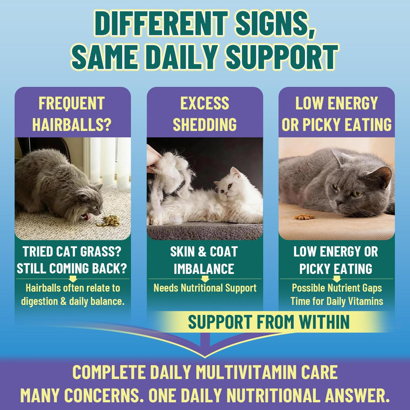 Cat Taurine Supplement Bundle, 2 Pack Cat Multivitamin & CoQ10 Treats, 1000 Chicken & Krill Crunchy Chews for Heart, Vision, Immune, Digestion, Skin & Coat, Daily Vitality Support for Adult & Senior C