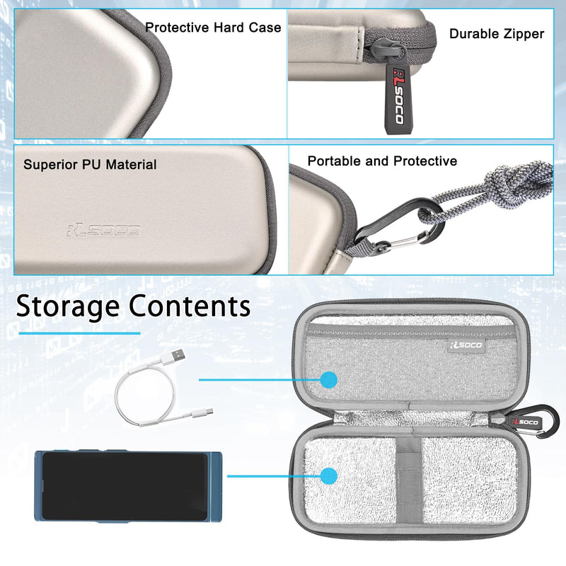 RLSOCO Carrying Case for Vasco V4/M3 Language Translator Device (Case Only)