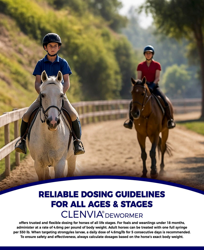 Horse Paste 10% – 4 Pack – 25g Syringes – Oral Deworming Paste for Horses of All Ages – Easy-to-Administer Equine Care PACK OF 4