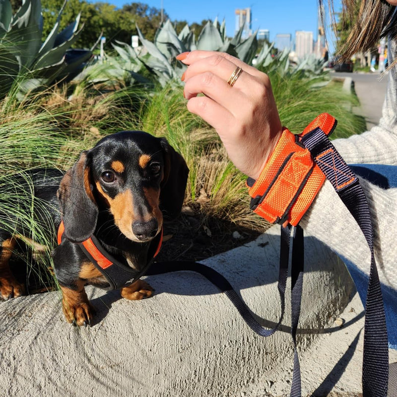 Gooby Easy Fit Wrist Band Surfer Leash - Orange, 6 FT - Comfortable Hands Free Leash with Elastic Band for Small, Medium and Large Dogs