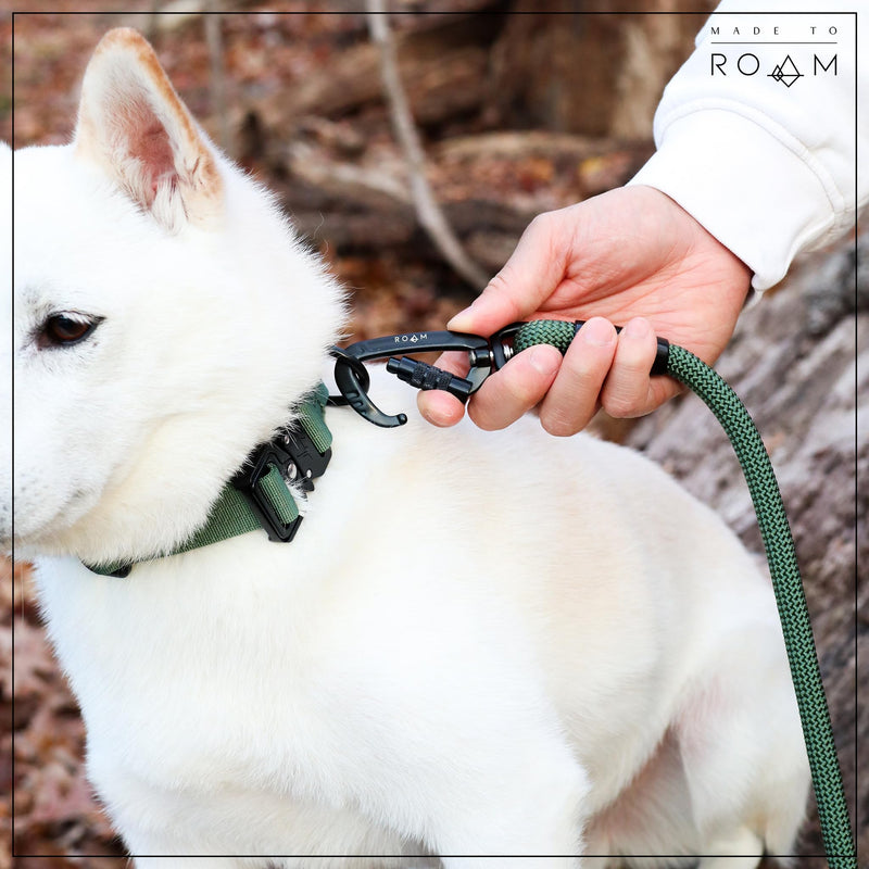 MADE TO ROAM Premium Explorer Leash - Climbing Rope Leash with Autolocking Aviation Aluminum Carabiner - Oregon Haze, 6ft 6 Feet - BeesActive Australia