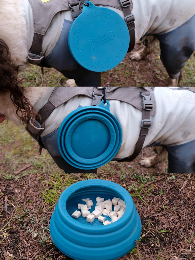 OHMO-Collapsible Dog Water Bowl Anti Tip Over No Spill from Car Movement(24oz Medium, Peacock Blue), Travel Dog Bowls, Less Splash Portable Pet Bowl for Road Trip, Cat Travel Accessories 24oz - BeesActive Australia