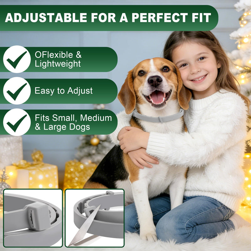 4 Pack Essential Oil Collars Dog Flea & Tick Collar Set with Natural Essential Oils, Adjustable Flea Control for Dogs