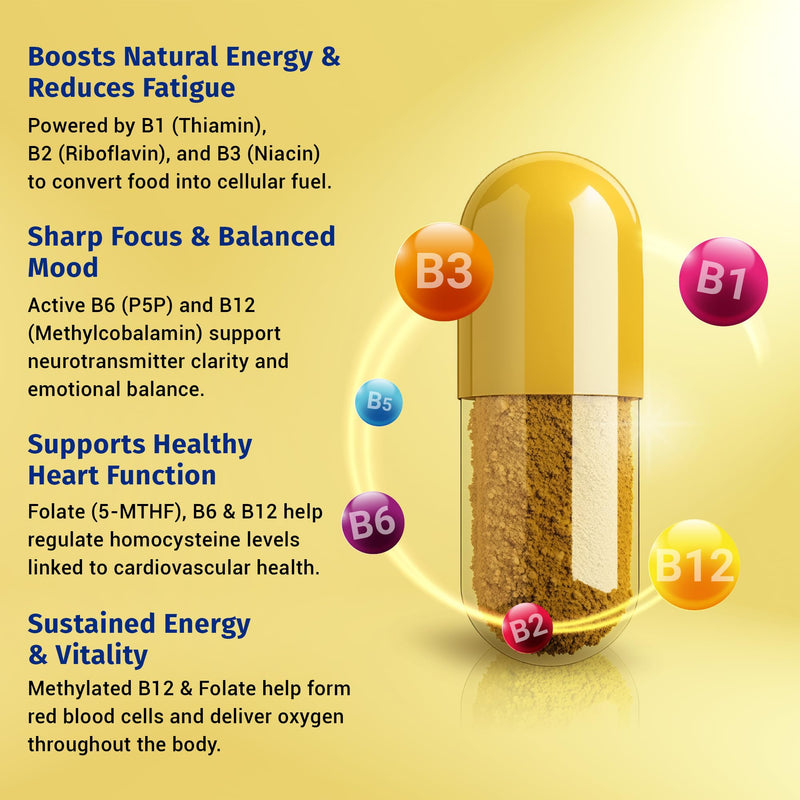 1 Body Methylated Vitamin B Complex, 5-MTHF & Methyl B12, 60 Capsules | 5-MTHF, Methyl B12 60 Count (Pack of 1)