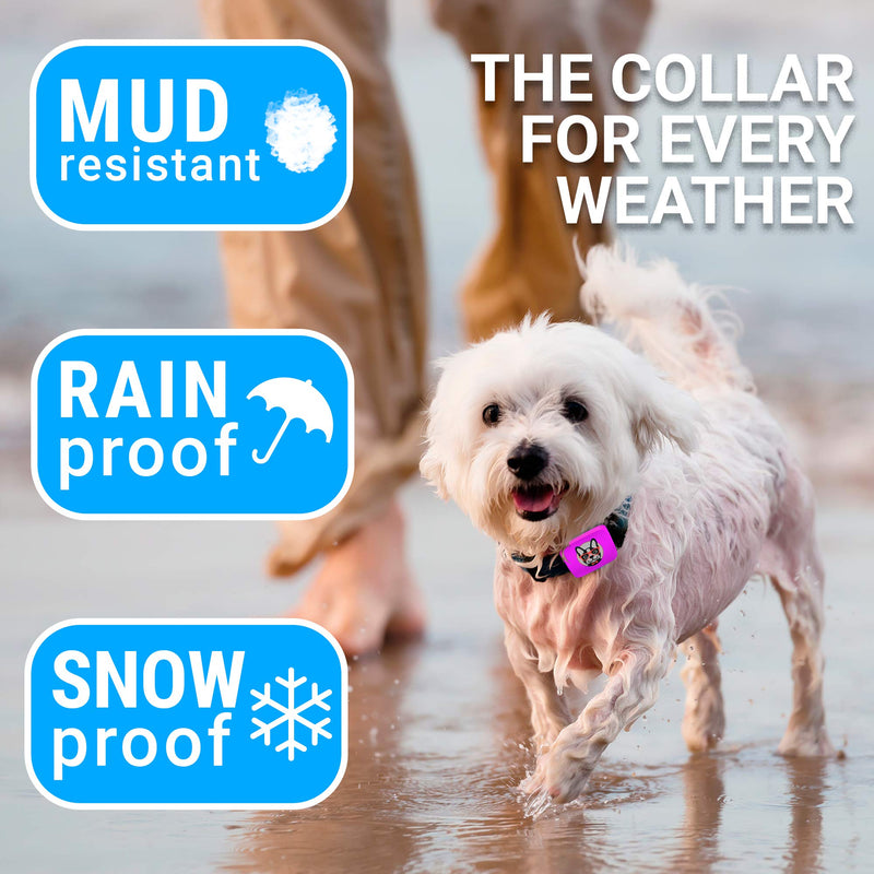 Small Dog Bark Collar Rechargeable - Smallest Bark Collar for Small Dogs 5-15lbs - Most Humane Stop Barking Collar - Dog Training No Shock Anti Bark Collar - Pet Bark Control Device (Pink) Pink - BeesActive Australia