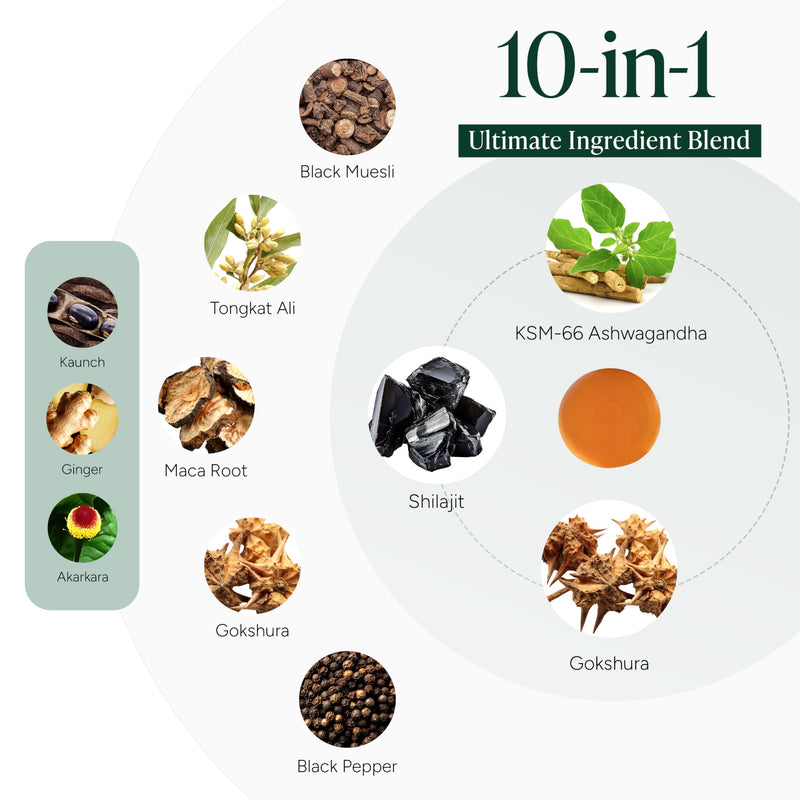 10-in-1 Alpha Shilajit Gummies | 4000 mg Pure Himalayan Shilajit, Tongkat Ali, Maca Root, 75% Fulvic Acid | ShilAbsorb Bioavailability Tech | Sugar-Free Vegan, 85+ Trace Minerals | 60 Pack 60 Count (Pack of 1) - BeesActive Australia