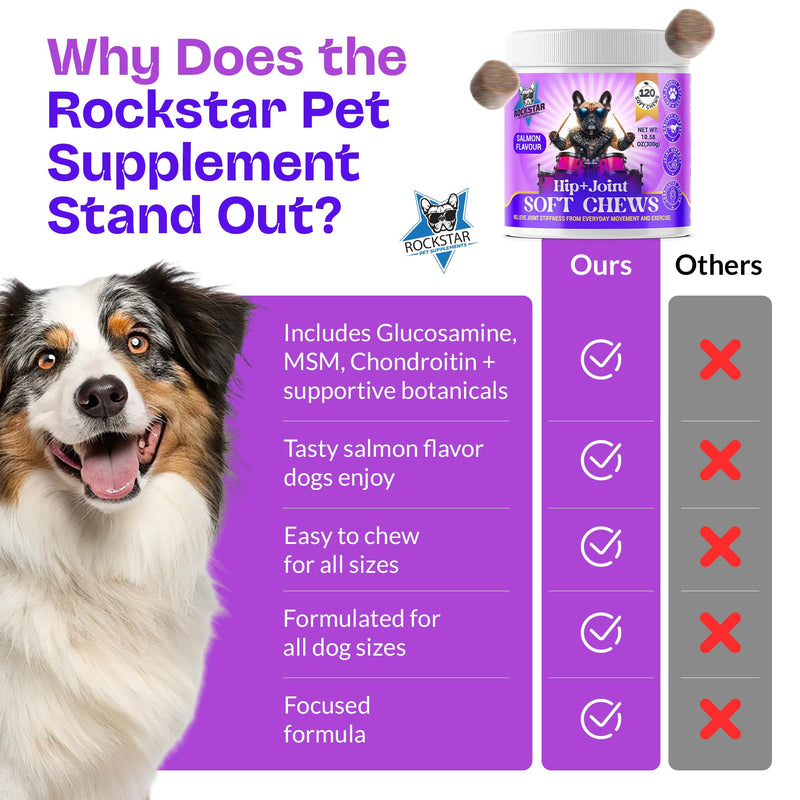 Hip+Joint Soft Chews for Dogs | Salmon Flavour | Daily Support with Chondroitin & MSM | Relieves Stiffness & Promotes Mobility-Perfect for Small, Medium & Large Dogs