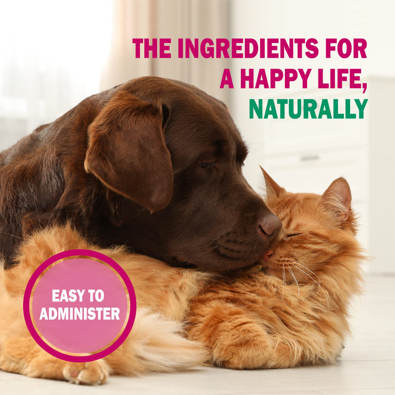 CystArk+ Powder | Supports Urinary Health in Dogs & Cats | Easily administered | 30 g 30g powder