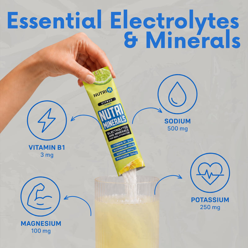 NUTRIMINERALS Hydration Electrolyte Powder Packets — Sugar-Free Electrolytes with Vitamin B1 & Pink Himalayan Salt | Sodium, Potassium & Magnesium for Energy, Recovery & Hydration | 15 Stick Packs Citrus 15 Sticks Pack