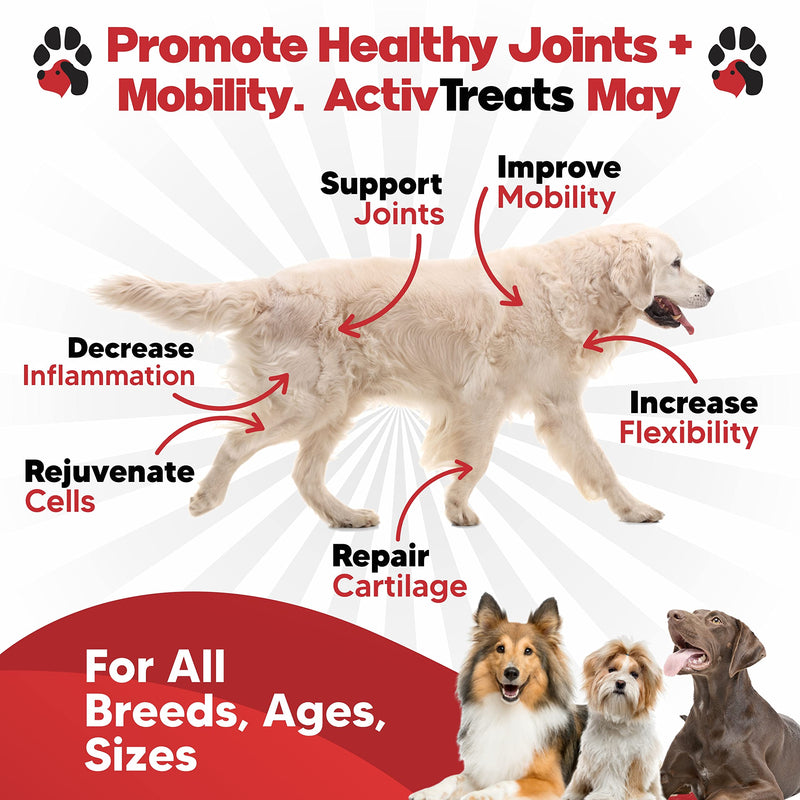 Glucosamine for Dogs Hip and Joint Supplement - Safe Joint Support for Dogs - Dog Joint Supplement with Glucosamine Chondroitin MSM Turmeric for Dogs - 120 Joint Care Chews for Dogs ActivTreats Peanut Butter - PawsPlanet Australia