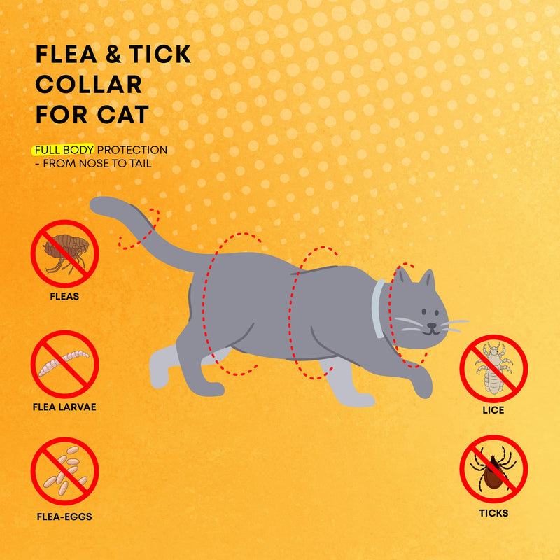 Cat Flea Tick Prevention Collar: Nature Flea Collar for Cats Fleas Repellent Collars - Safe Tick Prevention Collars for Cats Ticks Control for Kitten - 4 Pack 24 Month Protection Gray - BeesActive Australia