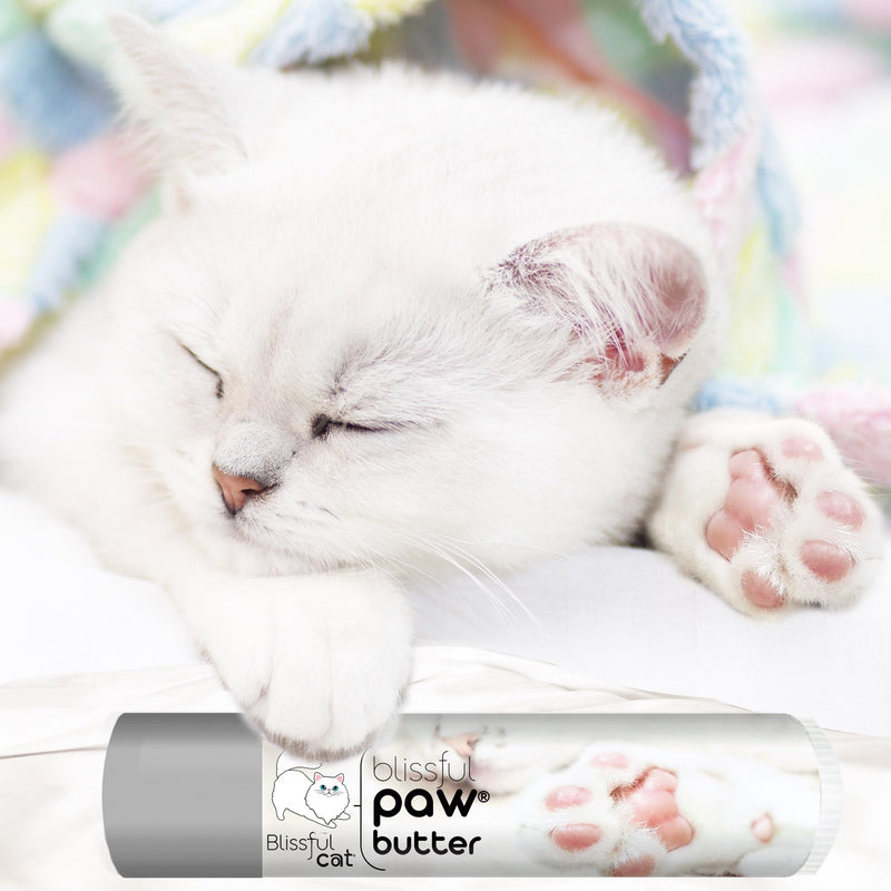 The Blissful Cat Paw Butter, Moisturizer for Dry Paw Pads, Softens and Protects Rough Feet, Versatile, Lick-Safe Balm, 0.15 oz. 0.15 Ounce (Pack of 1) - PawsPlanet Australia