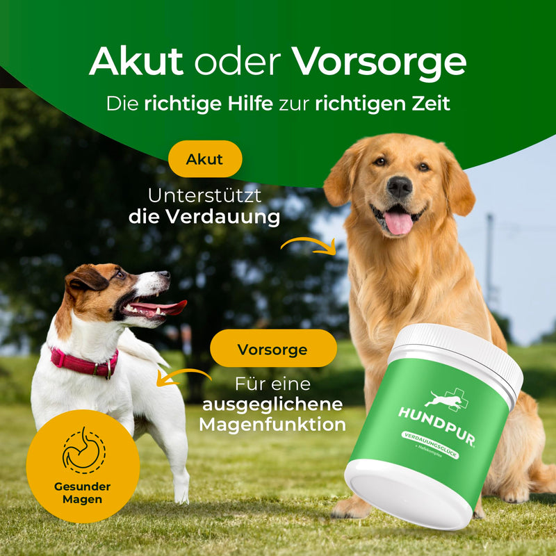 Hundpur Digestive Happiness 300g - Supplementary Food for Dogs - Prebiotics & Probiotics Pellets - Stabilizing Physiological Digestion (Digestive Happiness 300g) - BeesActive Australia